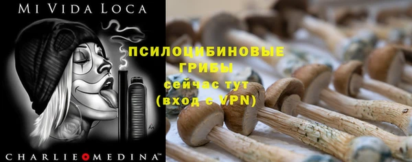2c-b Вязьма