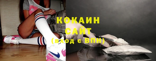 прущая мука Вяземский