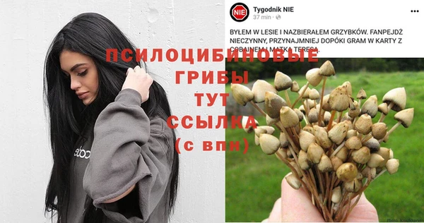 2c-b Вязьма