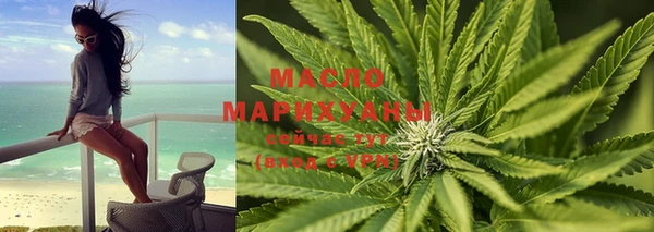прущая мука Вяземский